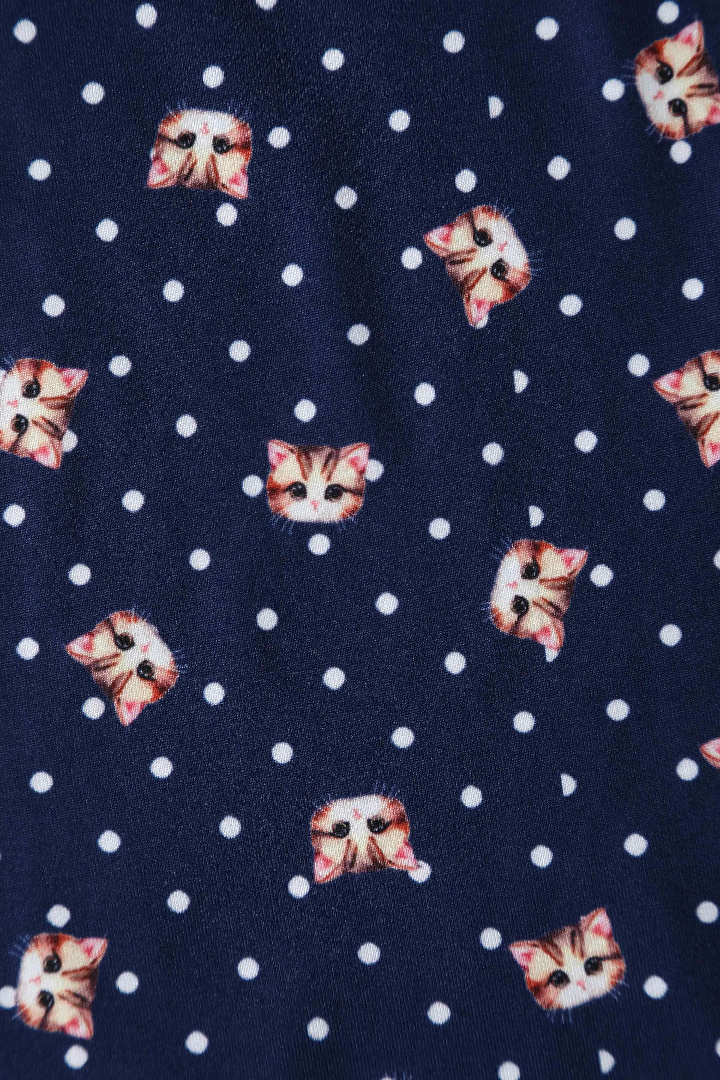 Billie Cat Face Blue Long Sleeved Dress