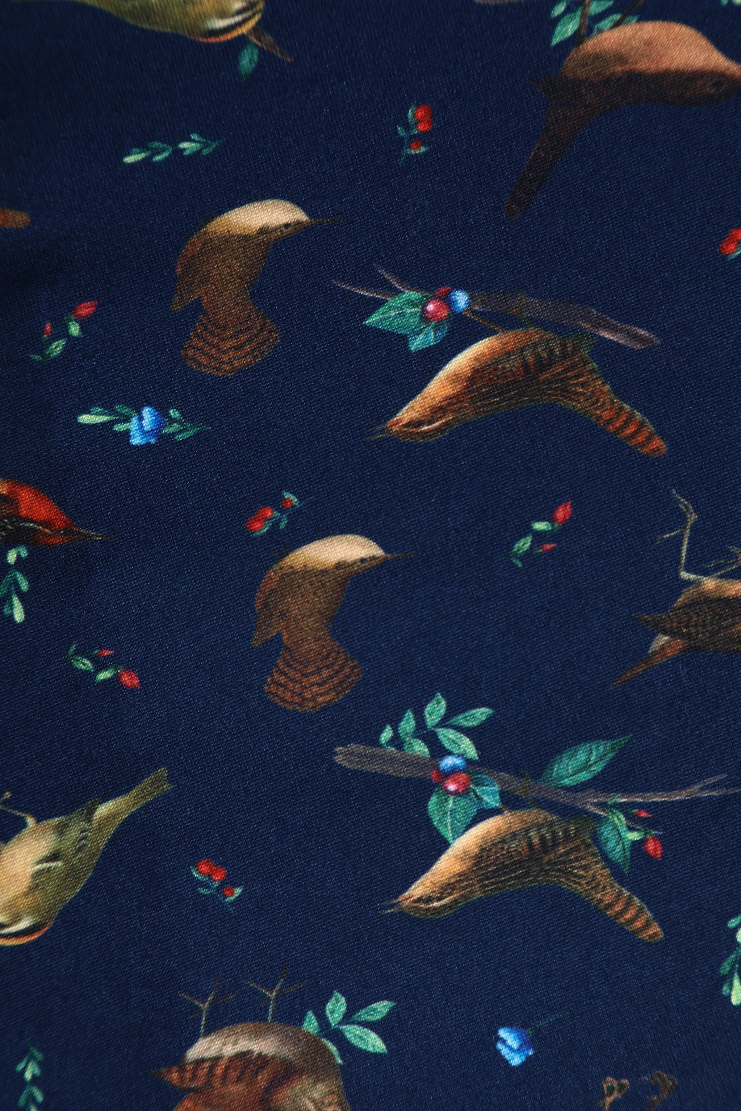 Brenda Navy Blue Bird Print Dress