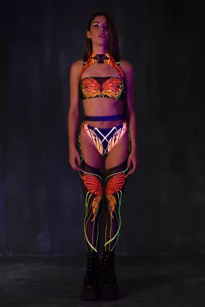 Metamorphix Mesh Chaps Set